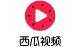 西瓜视频下载,轻松获取海量视频资源