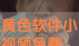 黄小视频,揭秘短视频时代的魅力与挑战