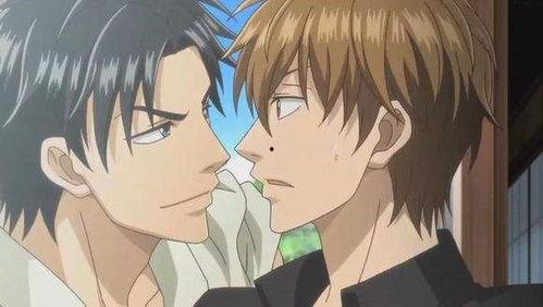 耽美纯肉动漫,耽美纯肉动漫的感官盛宴